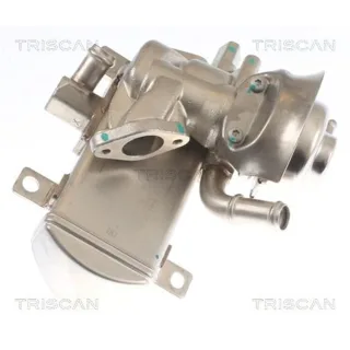 Triscan AGR-Ventil Audi Seat Skoda VW 881329347 2,0