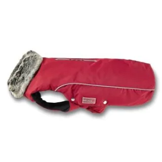 Wolters Winterjacke Amundsen Jacke Hundejacke rot 28 cm