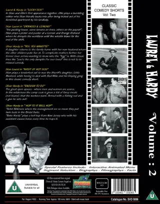 Laurel And Hardy Vol 2 Hollywood Silent Classics NEW DVD-KOSTENLOSE LIEFERUNG