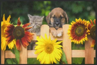 Fussmatte Hund und Katze 4534 | Größe: 60 cm x 45 cm