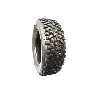 RG RALLY 165/70 R14 M+S 81 T