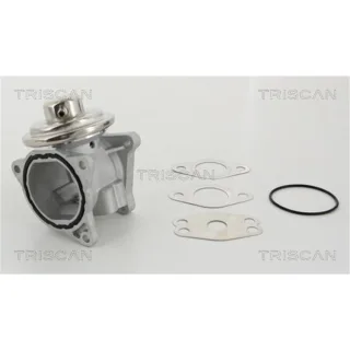 Triscan AGR-Ventil Audi Chrysler Dodge Jeep Seat Skoda VW