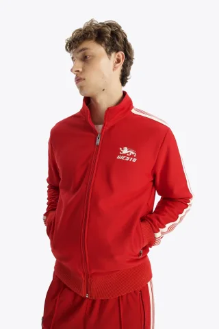 Gestreiftes Zip-Halbkragen-Sweatshirt