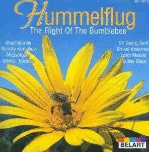 Hummelflug
