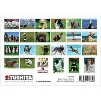 Postkarte Postkartenbuch "Dogs * Hunde * Chiens" mit 24 süßen Hundemotiven