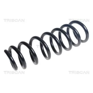 Triscan Feder vorne BMW X5 E70 3,0 875011237