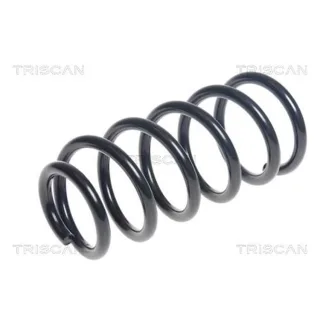 Triscan Feder hinten Mini 875011272