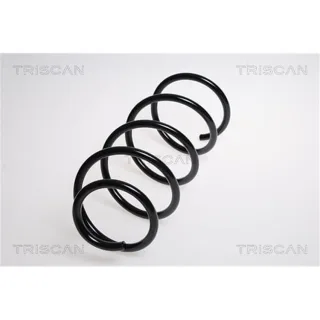 Triscan Feder vorne BMW 1er E81 3er E90 87501182
