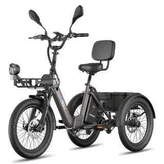 [EU Direct] FAFREES F20 Mate II Electric Tricycle Cargo, 48V 21AH Battery, 250W Motor, 750W Peak Power, Top Speed 25KM/H