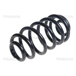 Triscan Feder hinten Opel Zafira 875024188