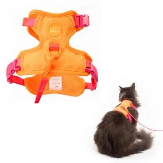 LucyBalu EXPLORER Katzengeschirr orange M-L