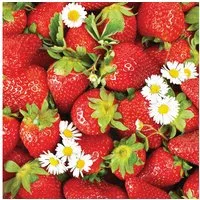 Ambiente Luxury Paper Products Papierserviette, Servietten Papier 33x33cm 3-lagig Erdbeeren Motiv Rot / Weiß 20 Stk.