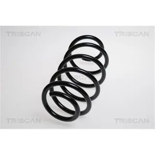 Triscan Feder vorne Skoda Superb VW Cc Passat 875029211