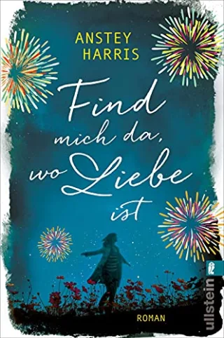 Find mich da wo Liebe ist: Roman