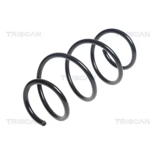 Triscan Feder Vorne Suzuki Swift 4 87506958