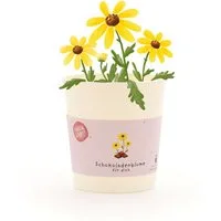 Die Stadtgärtner Anzuchttopf Schokoblumen-Anzuchtset als besonderes Geschenk, Geschenkidee (1 St)