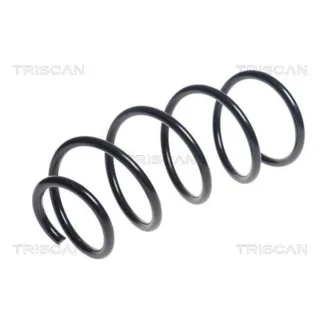 Triscan Feder vorne BMW 3er E90 875011202