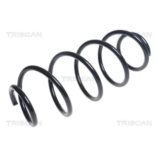 Triscan Feder vorne Citroen C4 1,6 875028272