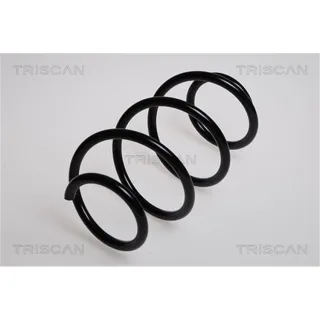 Triscan Feder vorne Honda Jazz GD GE