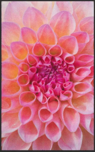 Fussmatte 7223 | Größe: 60 cm x 90 cm