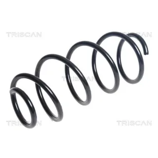 Triscan Feder vorne Seat Ibiza Skoda Fabia 875029515