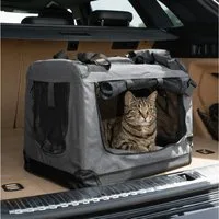 belviona Tiertransporttasche für Katzen, faltbar mit Mesh-Fenstern, 50x34x36 cm, dunkelgrau bis 10 kg, leichte & stabile Katzentransportbox mit Innenkissen & Taschen