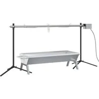 vidaXL Grillkamin Rotisserie-Grill Automatisch Edelstahl