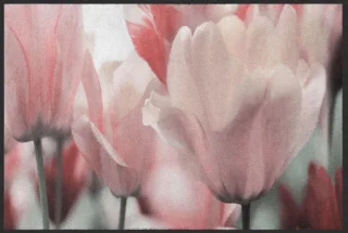 Fussmatte 4595 | Größe: 60 cm x 45 cm