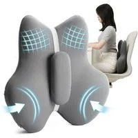 OSTWOLKE Lendenkissen Lendenwirbelkissen Verstellbare Lordosenstütze Auto Rückenstützkissen, Ergonomisches Zonen-Rückenstützkissen Memory Foam