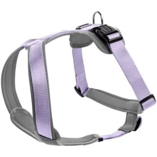 Hunter Geschirr Neopren lila/ grau M