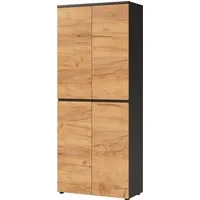 GERMANIA Aktenschrank Lissabon (1-St) mit verstellbaren Einlegeböden und grifflosem Design