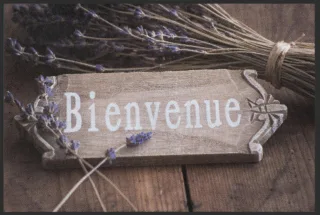 Fussmatte Bienvenue 4757 | Größe: 60 cm x 45 cm