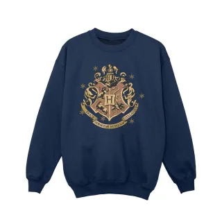 Harry Potter - Sweatshirt für Mädchen (Marineblau)