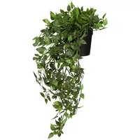 Kunstpflanze Epipremnum Climb Künstliche Pflanze im Topf Höhe Efeutute, hjh OFFICE, Höhe 20.0 cm, Künstliche Pflanze Hängepflanze Epipremnum, Efeutute im Topf