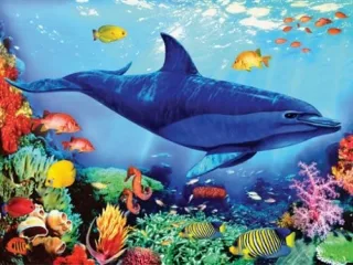 Ravensburger Puzzle 12854: Leben im Ozean - Junior Flokati Line [250 Teile]