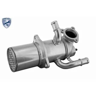 Vemo AGR-K?hler V10-63-0189 Skoda Yeti VW Beetle Caddy Cc Golf Jetta Scirocco