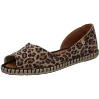 VERBENAS Cruz Leo Ballerina