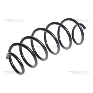 Triscan Feder vorne Peugeot 207 1,6 875028209
