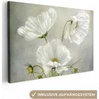 OneMillionCanvasses® Leinwandbild Blumen - Stillleben - Mohn - Weiß - Botanisch, Fotodruck (1 St), Leinwand Bilder Klein, Wand Dekoration Aesthetic 30x20 cm