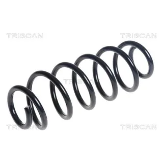 Triscan Feder Hinten Mazda 2 DL 1,5