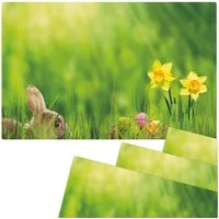 matches21 HOME & HOBBY Platzset Abwaschbare Tischsets 4er Set Ostern Blumen Osterglocken, (4-St), Platzsets als Tisch-Untersetzer und Tisch-Deko für Esstisch Teller