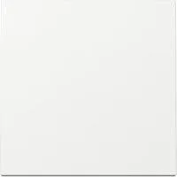Wippe einteilige Ausführung, glänzende Oberfläche, Kunststoff, Schutzart IP20 weiß (glänzend), Retail