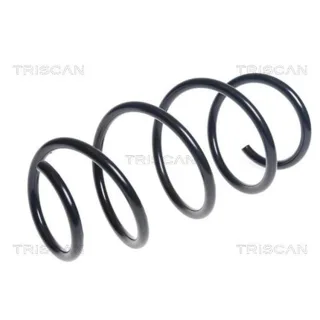 Triscan Feder vorne Audi A3 8V 875029394