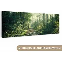 OneMillionCanvasses® Leinwandbild Panorama Wald - Weg - Sonne - Bäume - Grün - Natur, Fotodruck (1 St), Wandbild, Deko Schlafzimmer Wohnzimmer Flur 60x20 cm