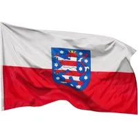 PHENO FLAGS Flagge Thüringen Flagge 90 x 150 cm Fahne Bundesland Wappen Löwe (Hissflagge für Fahnenmast), Inkl. 2 Messing Ösen