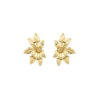 Luxenter-Ohrringe aus 18 Karat Gelbgold - Aucell