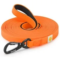 lionto Schleppleine strapazierfähig & wasserdicht, Nylon/PVC (mit Neopren-Handschlaufe, 1-tlg., Trainingsleine), mit Sicherheitskarabiner
