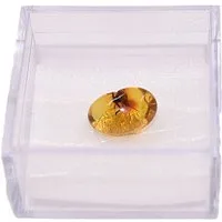Firetti Dekofigur Schmuck Geschenk Farbstein Edelstein Bernstein mit Insekt, Lupe (2 St), mit Zirkonia (synth)