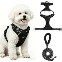 BlingBin Hunde-Geschirr Antizug Hundegeschirr mit Leine, Anti Zieh Geschirr für Hunde, Nylon und Polyester, Atmungsaktives und Reflektierendes Brustgeschirr für Mittelgroße Hunde
