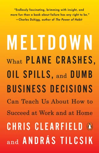 Meltdown: What Plane Crashes Oil Spills and Dumb Business Decisions Can Teach Us About How to Succeed at Work and at Home